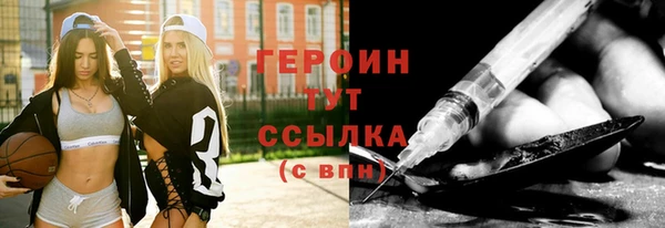 гидра Вяземский