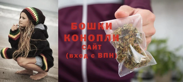 гидра Вяземский
