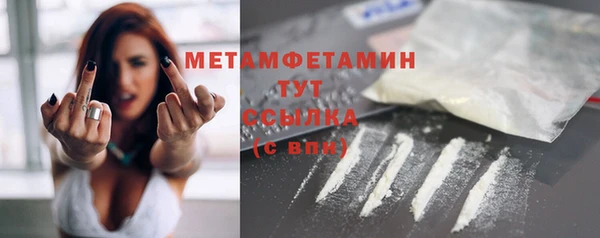 гидра Вяземский