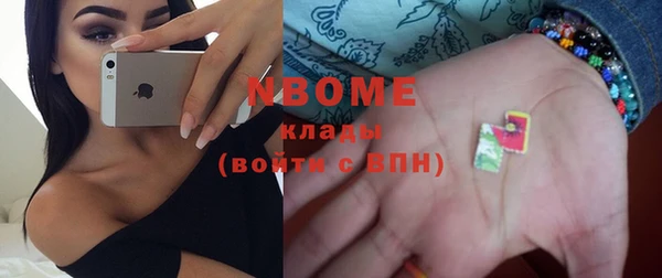 гидра Вяземский