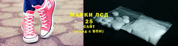 гидра Вяземский