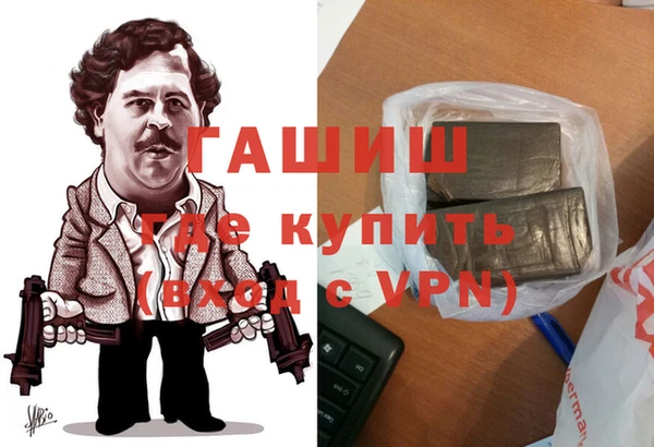 гидра Вяземский