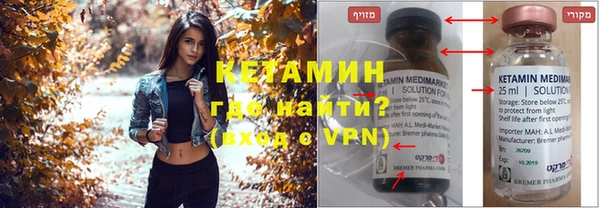 гидра Вяземский