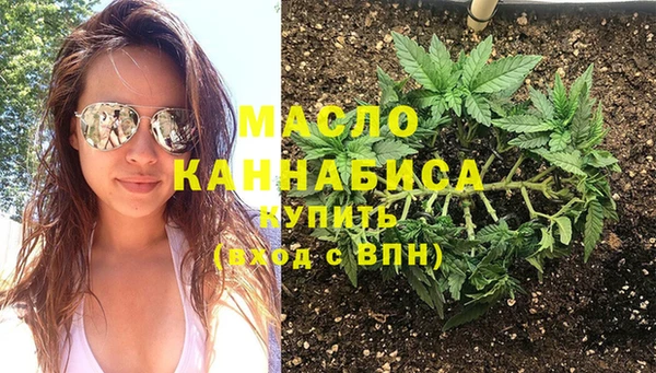 гидра Вяземский